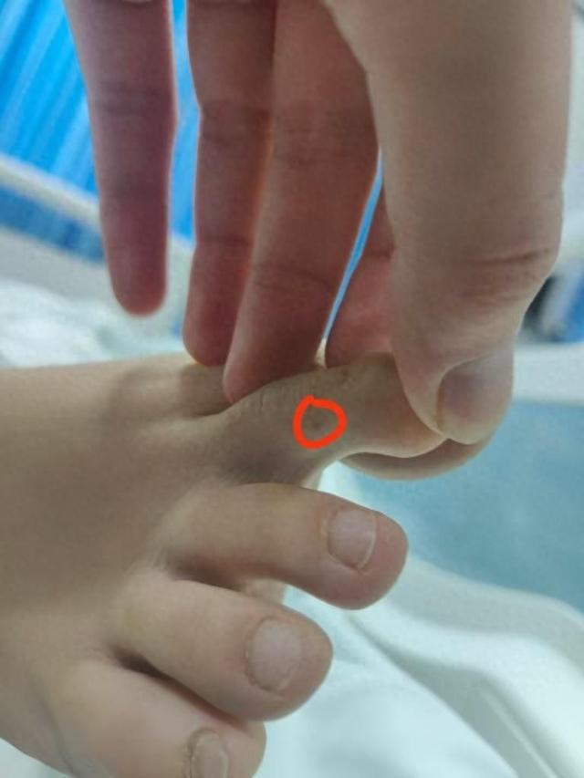 播回应质疑：没提任何索赔只希望调查清楚pg电子娱乐平台三亚身亡女游客堂姐直(图2)