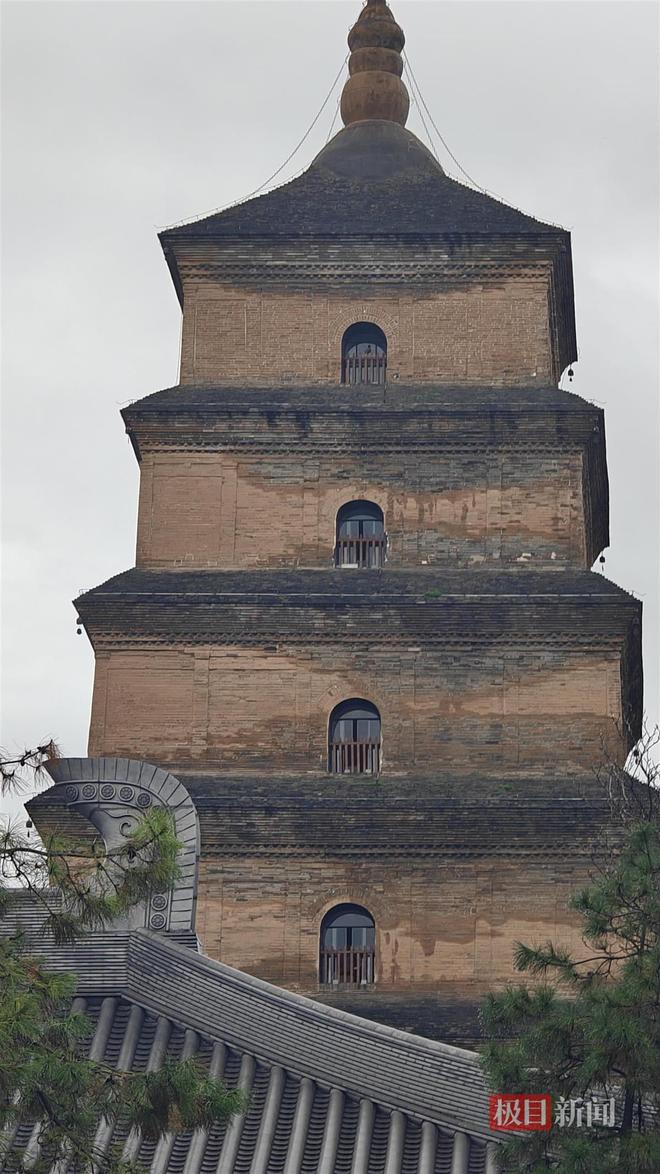 蘑菇大雁塔受潮城墙布满青苔气象局解释成因pg电子试玩西安连续一个多月降雨遍地长(图2)