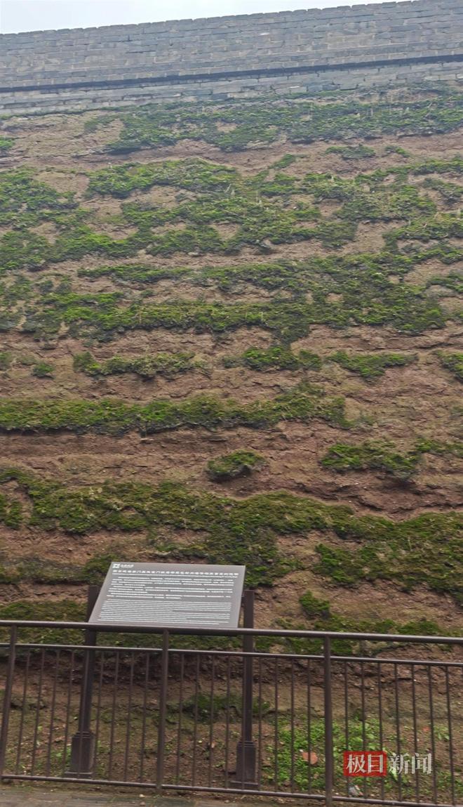 蘑菇大雁塔受潮城墙布满青苔气象局解释成因pg电子试玩西安连续一个多月降雨遍地长